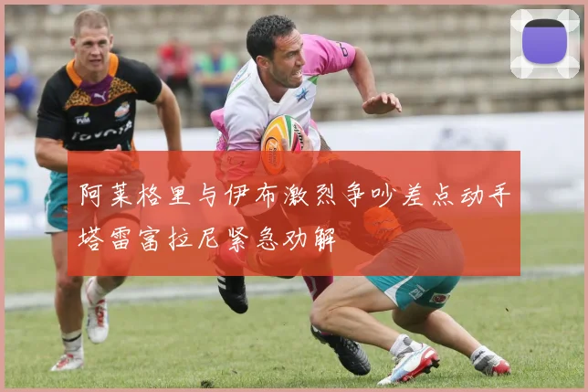 阿莱格里与伊布激烈争吵差点动手塔雷富拉尼紧急劝解