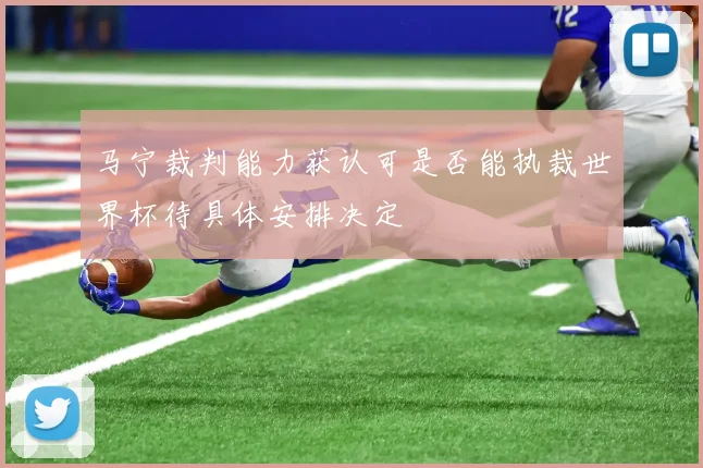 马宁裁判能力获认可是否能执裁世界杯待具体安排决定